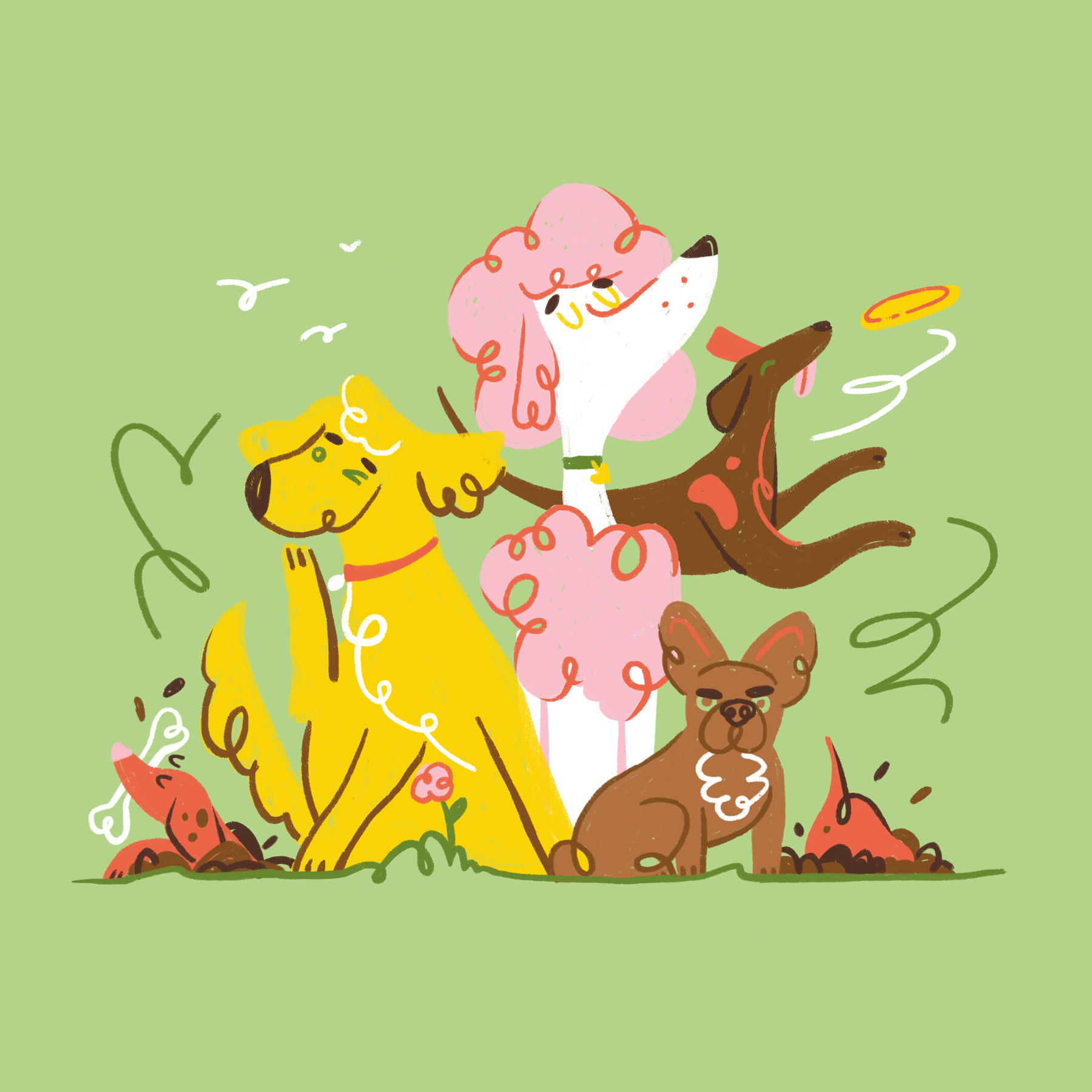 Pets
